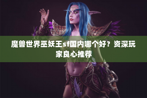魔兽世界巫妖王sf国内哪个好？资深玩家良心推荐