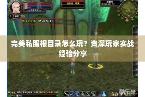 完美私服根目录怎么玩？资深玩家实战经验分享