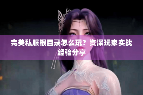 完美私服根目录怎么玩？资深玩家实战经验分享