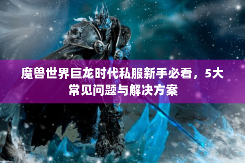 魔兽世界巨龙时代私服新手必看，5大常见问题与解决方案