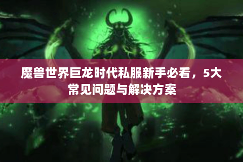 魔兽世界巨龙时代私服新手必看，5大常见问题与解决方案