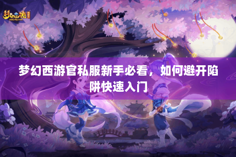 梦幻西游官私服新手必看，如何避开陷阱快速入门