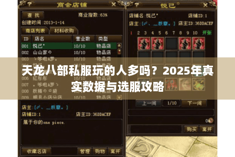 天龙八部私服玩的人多吗？2025年真实数据与选服攻略