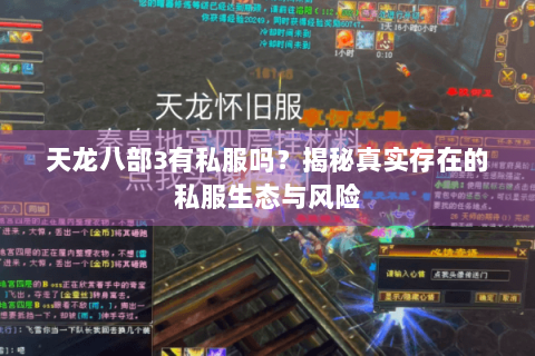 天龙八部3有私服吗？揭秘真实存在的私服生态与风险