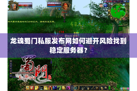 龙魂蜀门私服发布网如何避开风险找到稳定服务器？
