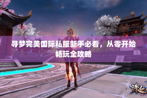 寻梦完美国际私服新手必看，从零开始畅玩全攻略