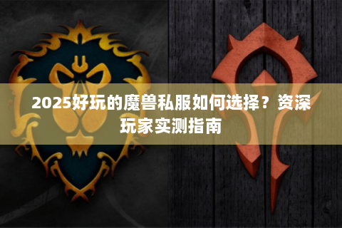 2025好玩的魔兽私服如何选择？资深玩家实测指南