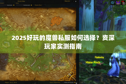 2025好玩的魔兽私服如何选择？资深玩家实测指南