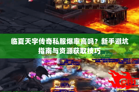 临夏天宇传奇私服爆率高吗？新手避坑指南与资源获取技巧