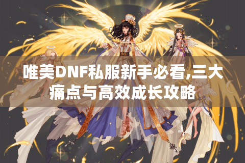唯美DNF私服新手必看,三大痛点与高效成长攻略
