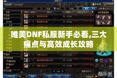 唯美DNF私服新手必看,三大痛点与高效成长攻略