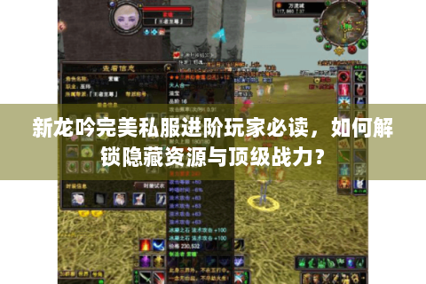 新龙吟完美私服进阶玩家必读，如何解锁隐藏资源与顶级战力？