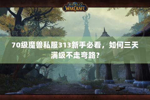70级魔兽私服313新手必看，如何三天满级不走弯路？