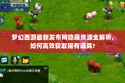 梦幻西游最新发布网隐藏资源全解析,如何高效获取稀有道具?