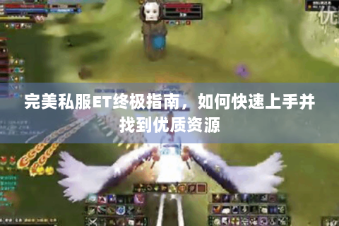 完美私服ET终极指南，如何快速上手并找到优质资源