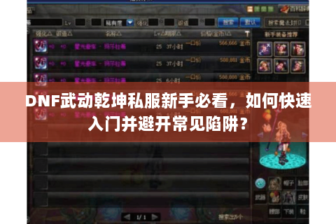 DNF武动乾坤私服新手必看，如何快速入门并避开常见陷阱？