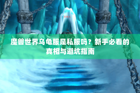 魔兽世界乌龟服是私服吗？新手必看的真相与避坑指南