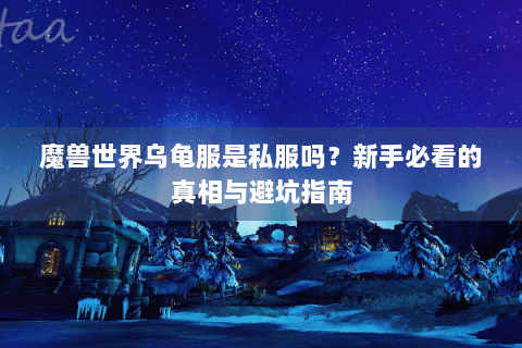魔兽世界乌龟服是私服吗？新手必看的真相与避坑指南