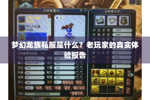 梦幻龙族私服是什么？老玩家的真实体验报告