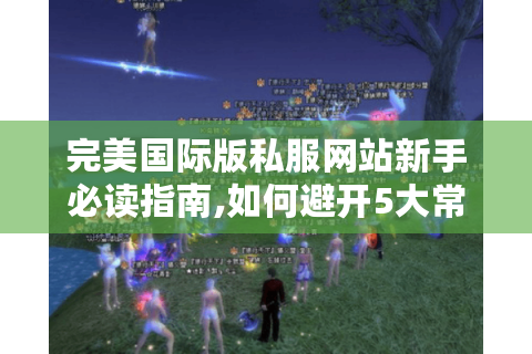 完美国际版私服网站新手必读指南,如何避开5大常见坑