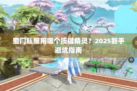 蜀门私服用哪个按键精灵？2025新手避坑指南