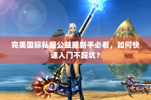 完美国际私服公益服新手必看，如何快速入门不踩坑？