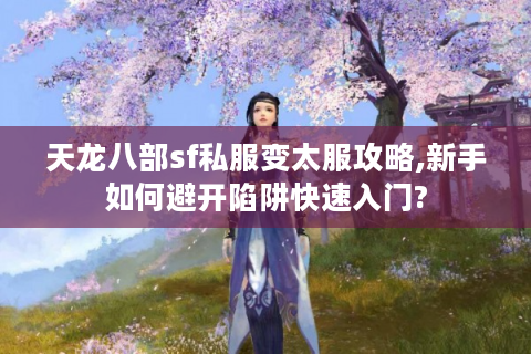 天龙八部sf私服变太服攻略,新手如何避开陷阱快速入门?