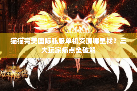 猫猫完美国际私服单机资源哪里找？三大玩家痛点全破解