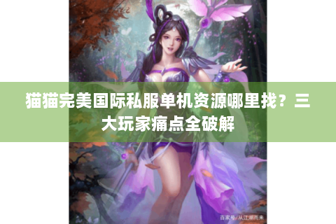 猫猫完美国际私服单机资源哪里找？三大玩家痛点全破解