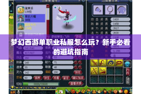 梦幻西游单职业私服怎么玩？新手必看的避坑指南