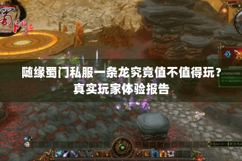 随缘蜀门私服一条龙究竟值不值得玩？真实玩家体验报告