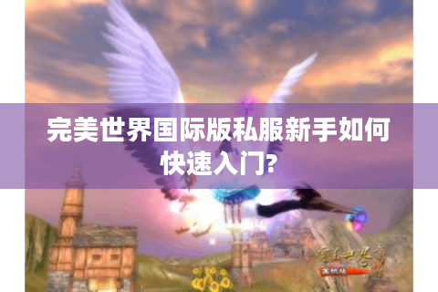 完美世界国际版私服新手如何快速入门?