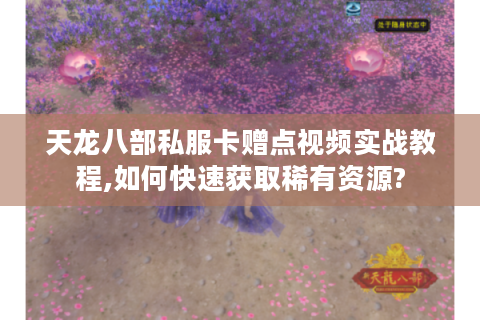 天龙八部私服卡赠点视频实战教程,如何快速获取稀有资源?