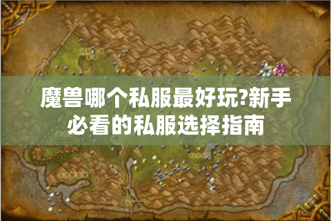魔兽哪个私服最好玩?新手必看的私服选择指南