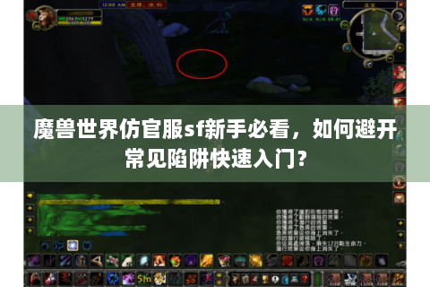 魔兽世界仿官服sf新手必看，如何避开常见陷阱快速入门？