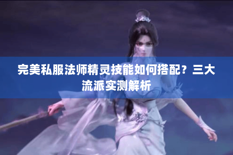 完美私服法师精灵技能如何搭配？三大流派实测解析