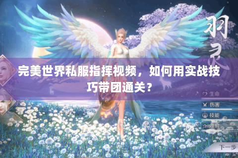 完美世界私服指挥视频，如何用实战技巧带团通关？