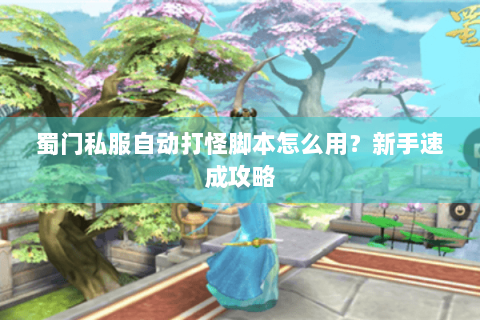 蜀门私服自动打怪脚本怎么用？新手速成攻略