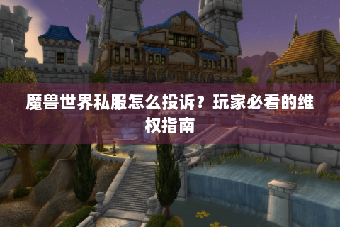 魔兽世界私服怎么投诉？玩家必看的维权指南