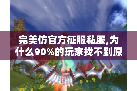 完美仿官方征服私服,为什么90%的玩家找不到原汁原味版本?