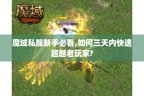 魔域私服新手必看,如何三天内快速超越老玩家?