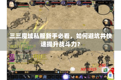 三三魔域私服新手必看，如何避坑并快速提升战斗力？