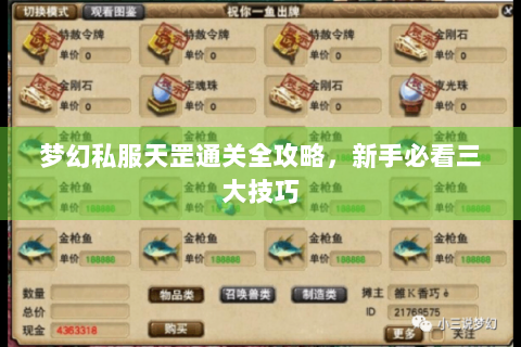 梦幻私服天罡通关全攻略，新手必看三大技巧