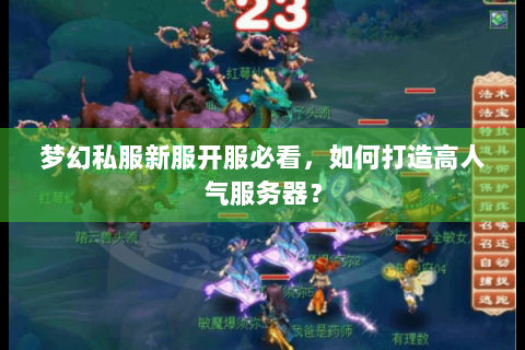 梦幻私服新服开服必看，如何打造高人气服务器？