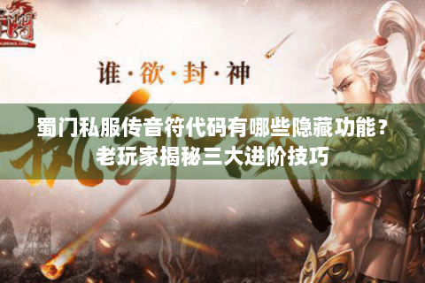 蜀门私服传音符代码有哪些隐藏功能？老玩家揭秘三大进阶技巧