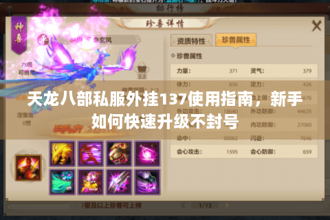 天龙八部私服外挂137使用指南，新手如何快速升级不封号