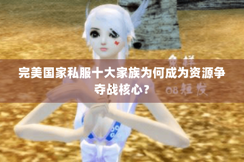 完美国家私服十大家族为何成为资源争夺战核心？