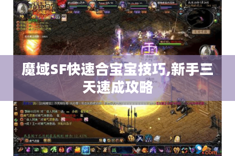 魔域SF快速合宝宝技巧,新手三天速成攻略