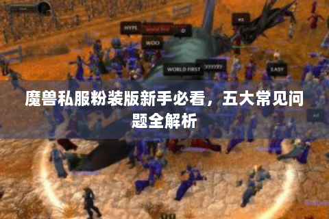 魔兽私服粉装版新手必看，五大常见问题全解析