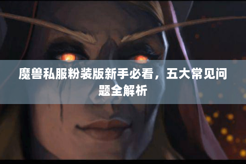 魔兽私服粉装版新手必看，五大常见问题全解析